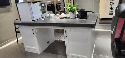 健康飲水用水領航者 挑水哥全屋凈水器系列產品為您帶來全新體驗